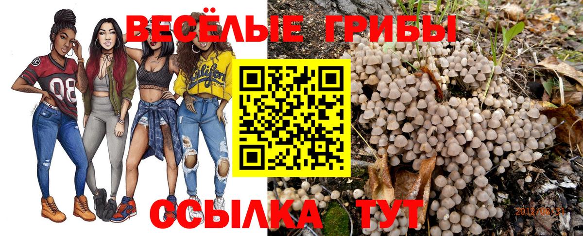 Псилоцибиновые грибы GOLDEN TEACHER  Вход с VPN  Барнаул 
